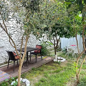 Koltrina Shkodër